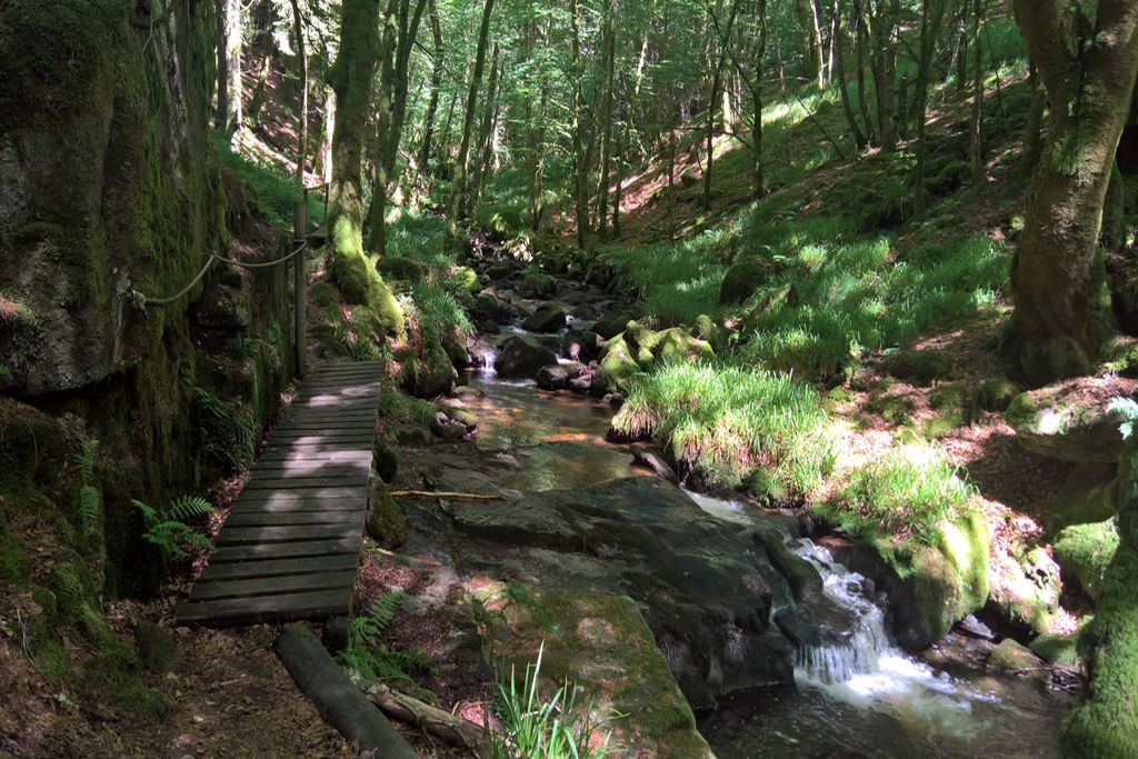 sentier randonnée Sarran en Corrèze