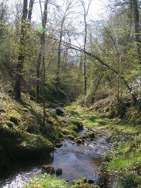 Aventure en Rivière près de Collonges la Rouge