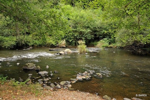 Rivière Maronne qui environne les Tours du Merle