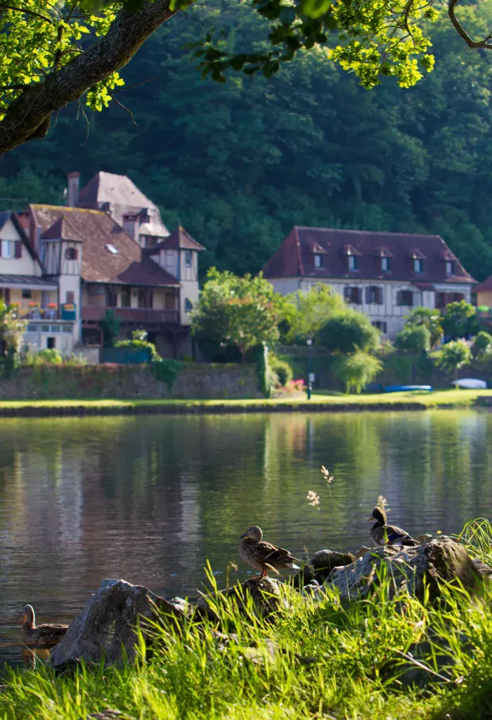correze 0159