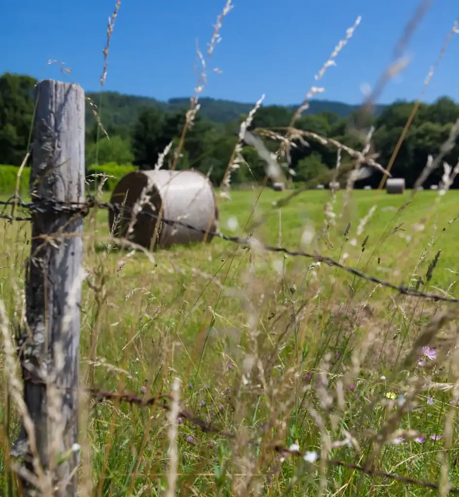 correze 0186