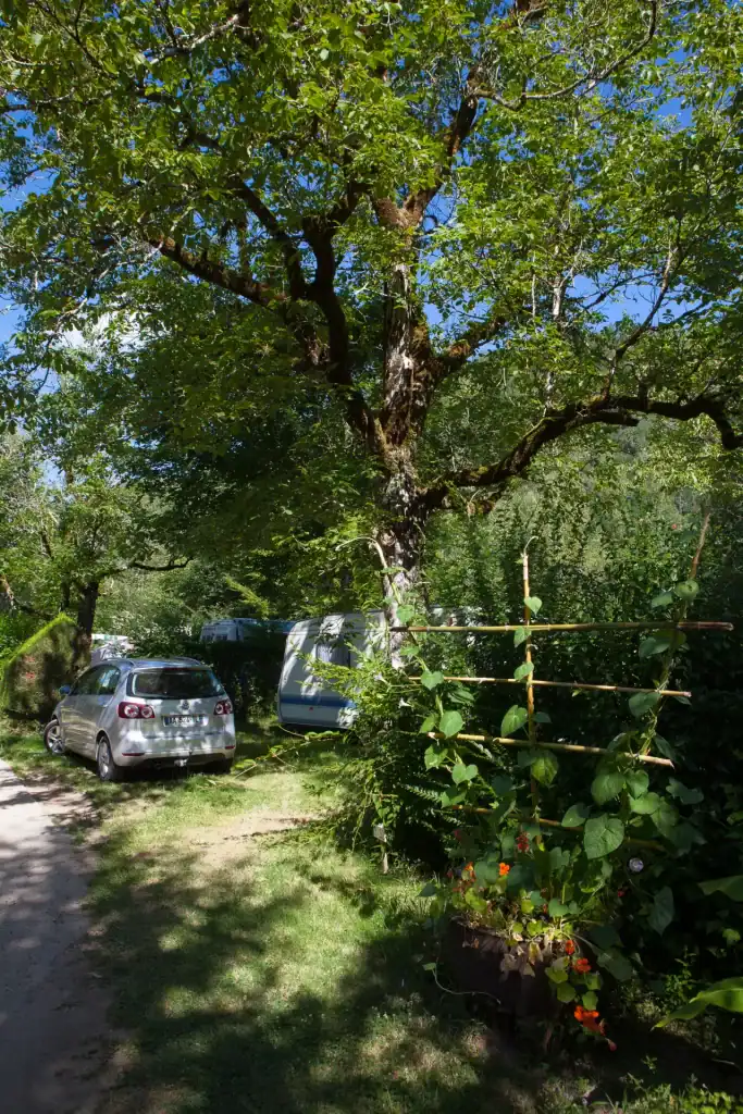 correze 0290