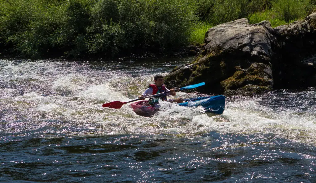 faurie 2013 0029